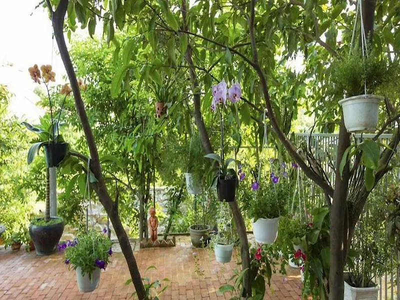 Quynh Nhan Homestay Hoi An